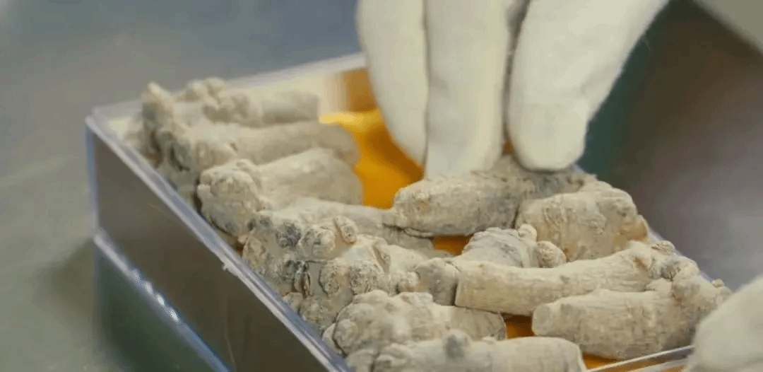 抖圈- 为du而生(中国区)官方网站