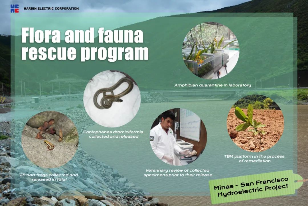 抖圈- 为du而生(中国区)官方网站