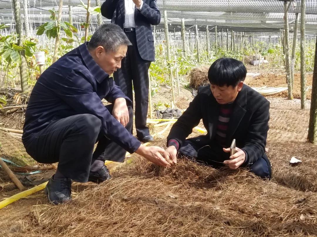 抖圈- 为du而生(中国区)官方网站