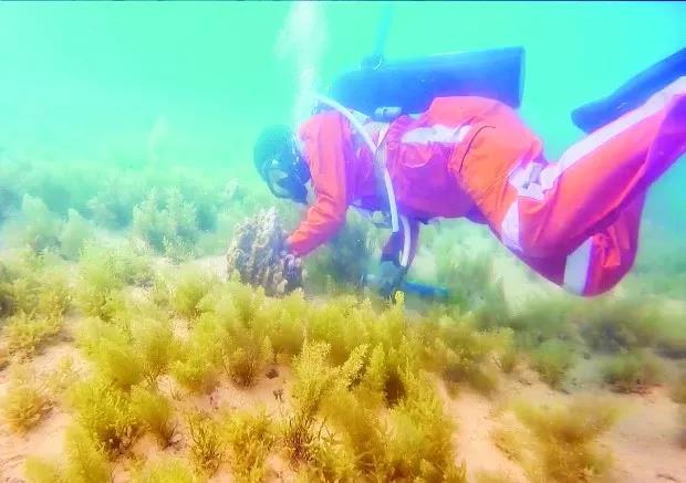 抖圈- 为du而生(中国区)官方网站