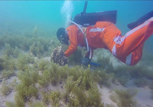 抖圈- 为du而生(中国区)官方网站