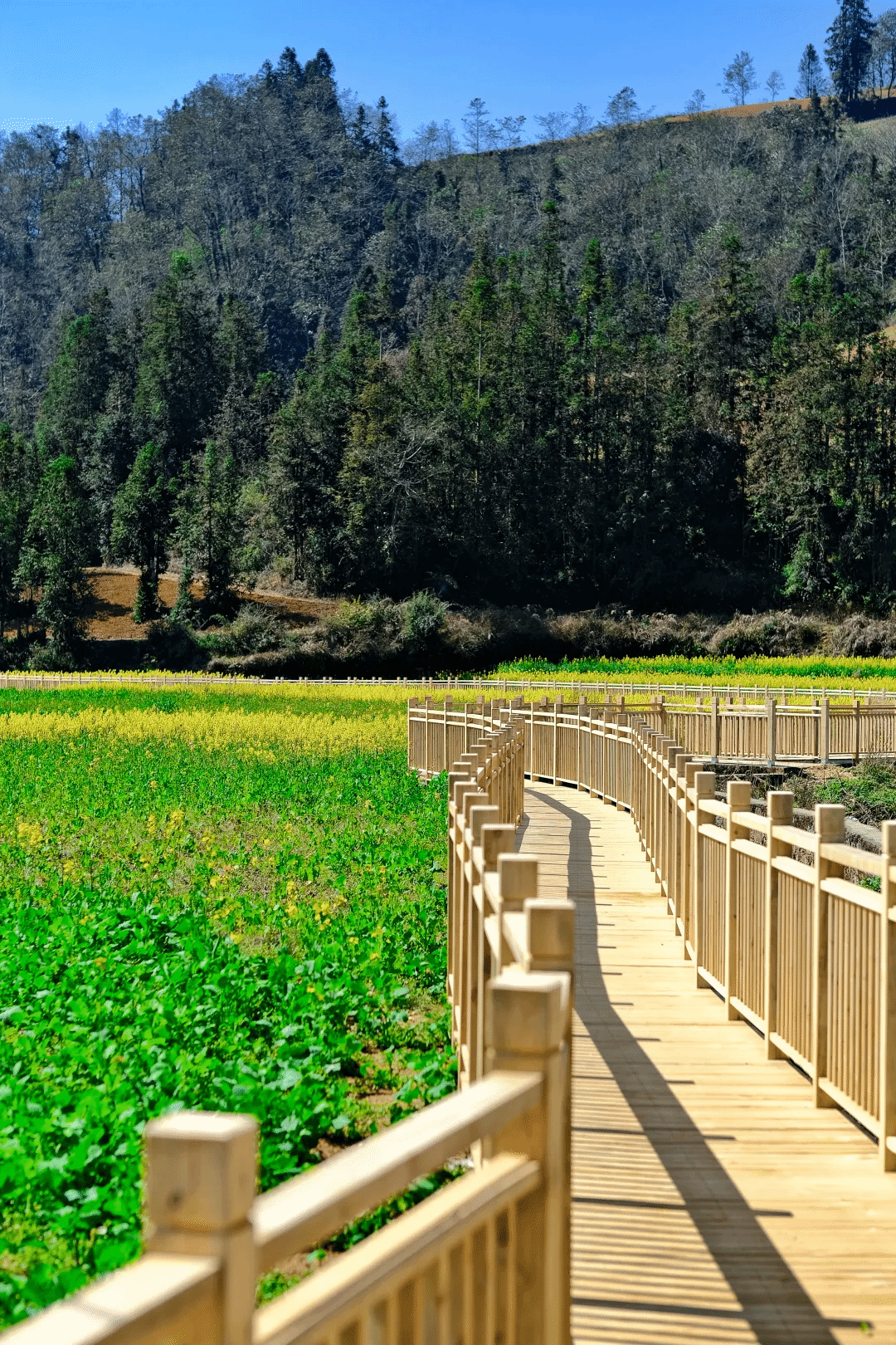 抖圈- 为du而生(中国区)官方网站