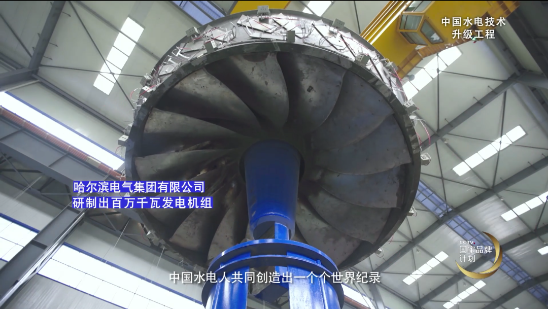 抖圈- 为du而生(中国区)官方网站