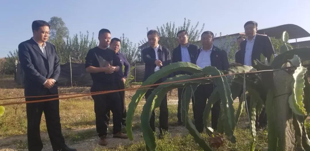 抖圈- 为du而生(中国区)官方网站