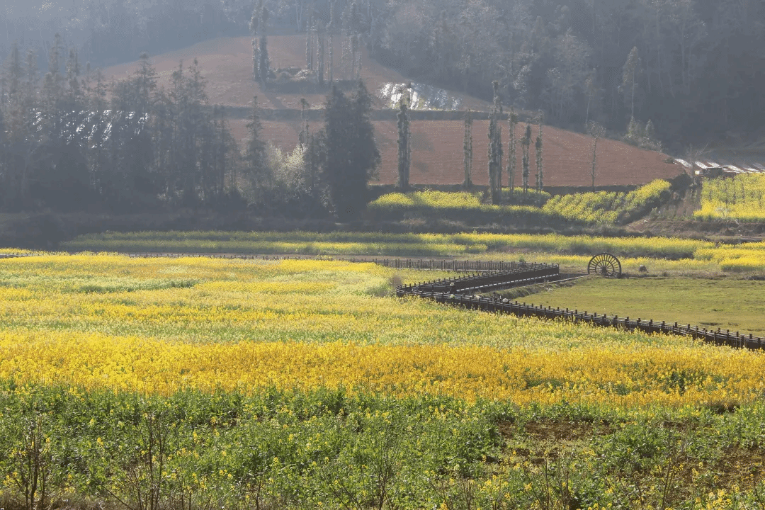 抖圈- 为du而生(中国区)官方网站