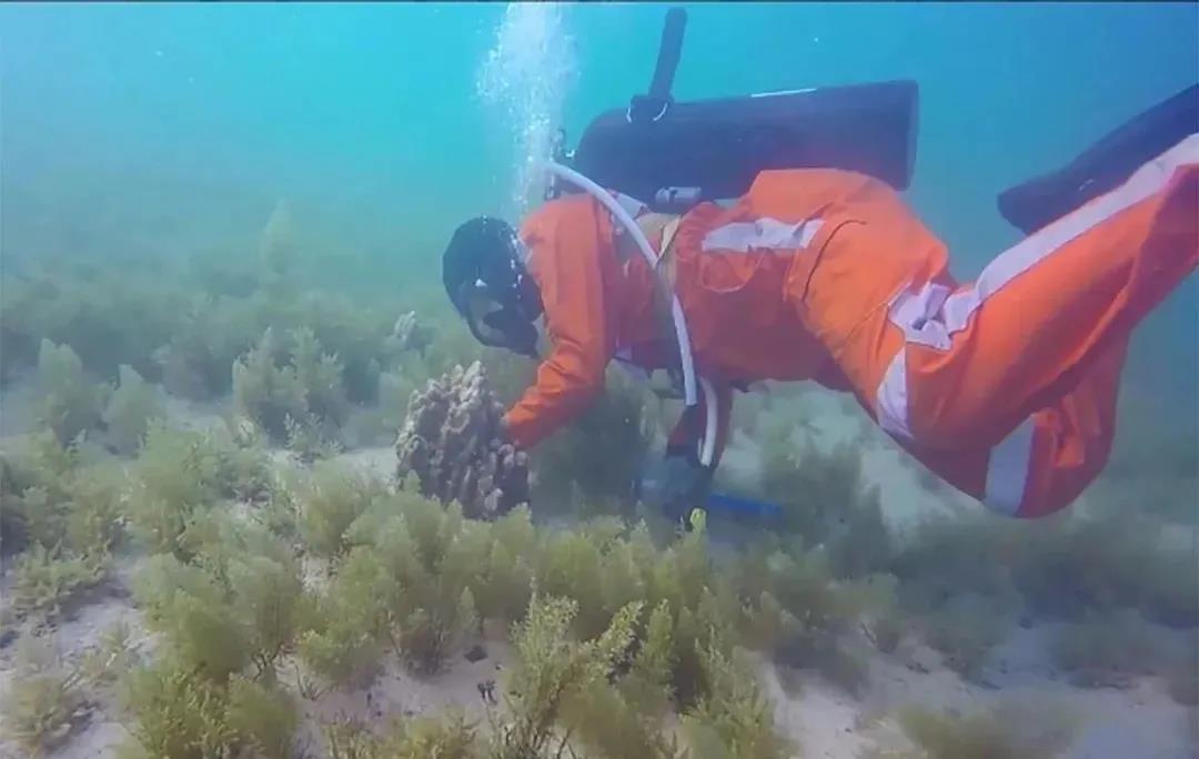 抖圈- 为du而生(中国区)官方网站